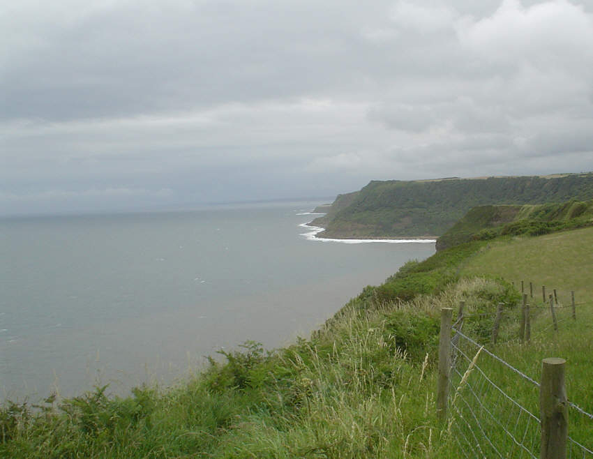 The Cliffs south of Ravenscar