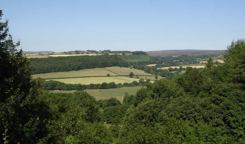 The view from Cropton Banks
