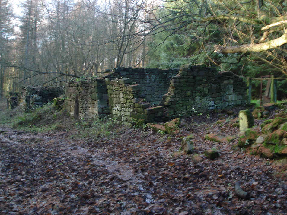 Ruined farm in the woods above Cod Beck Reservoir