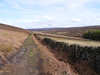 Path across Kildale Moor