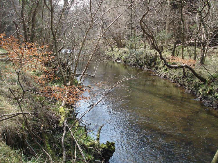 The River Derwent in Lang Dale 