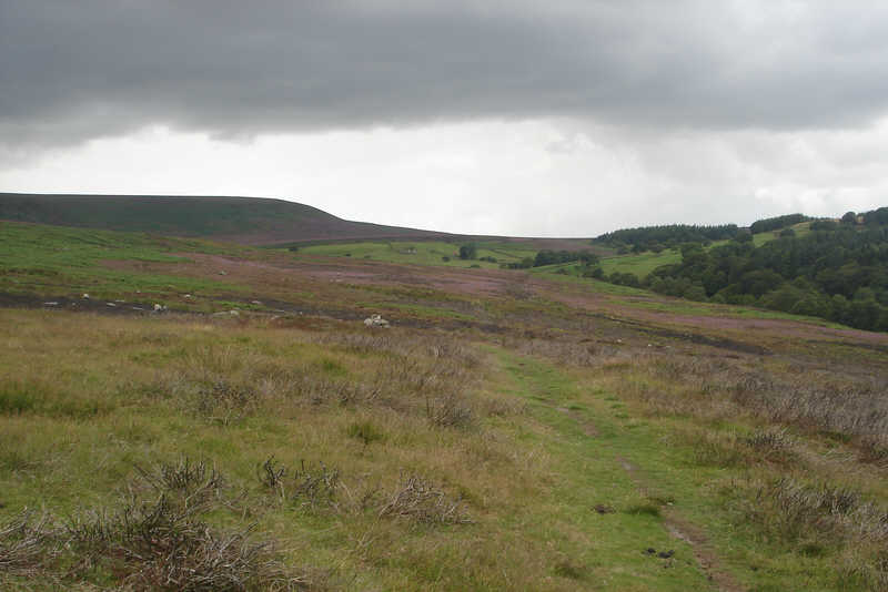 A view along Locker Low Moor at the foot of Black Hambleton. 