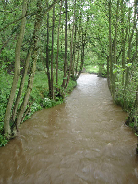 The River Dove, Farndale