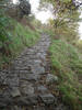 The path from Newton under Roseberry