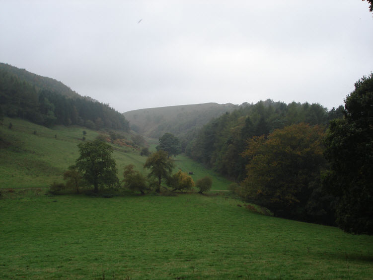This is the view west towards Stoney Gill Hole (the small valley in the centre of the picture) from the point where the public footpath around Coomb Hill emerges from the trees