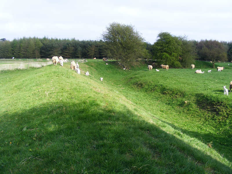 The Bank and Ditch, Studfold Ring 