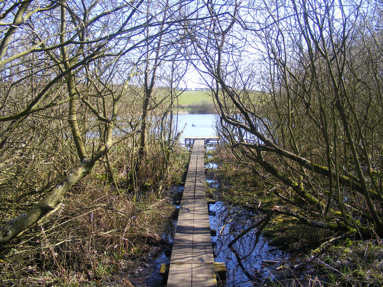 Throxenby Mere 