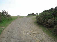 Track at Glaisdale