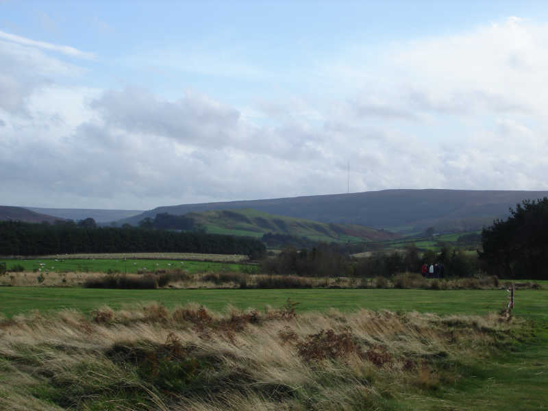 Swainby