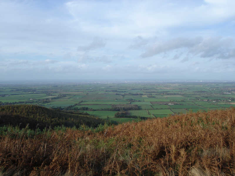 Swainby